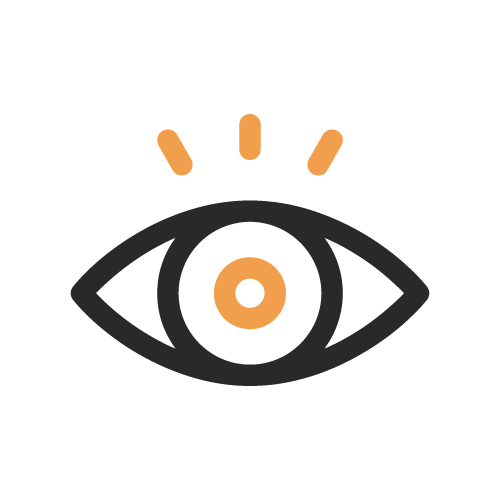 vision